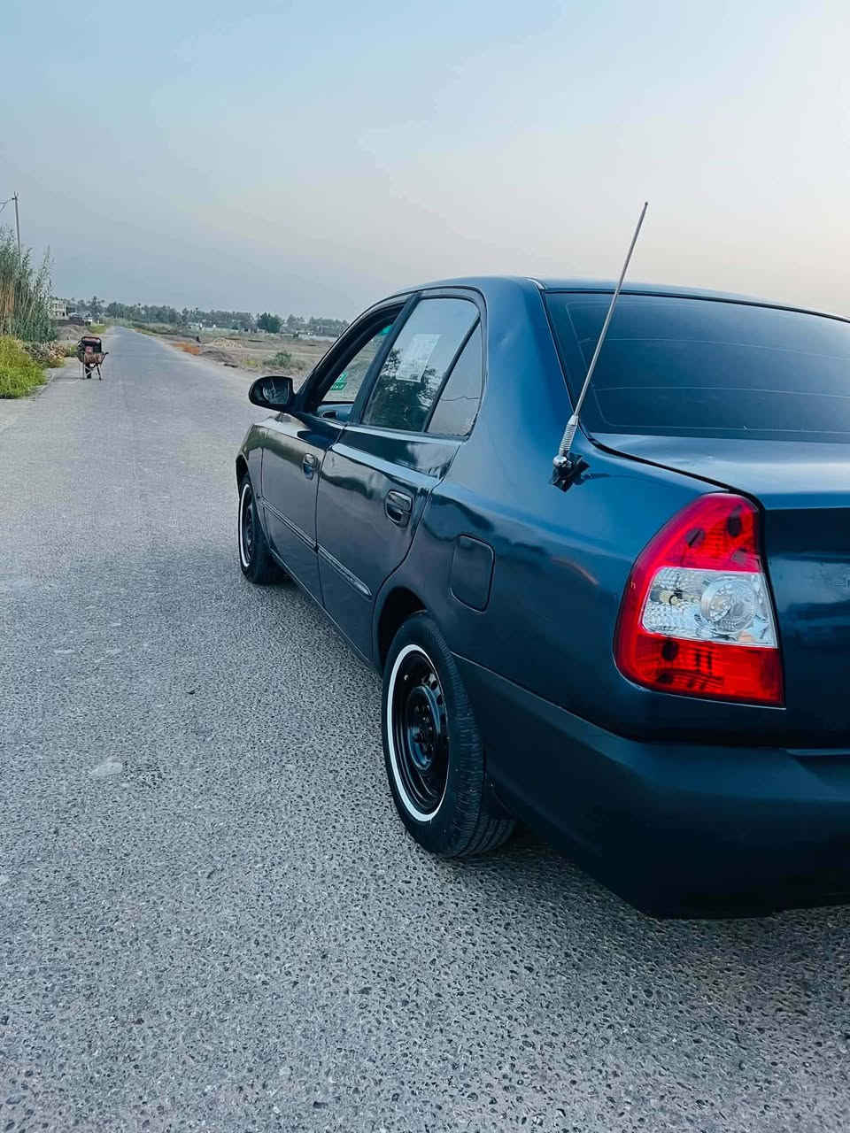 فيرنا • ٢٠٠٠ • بدون ضربة