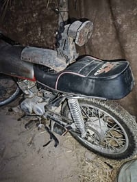 عطلانه • دهن • تخم تاير