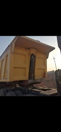 عربانة علم • ٢٠٠٦ • مكفولة