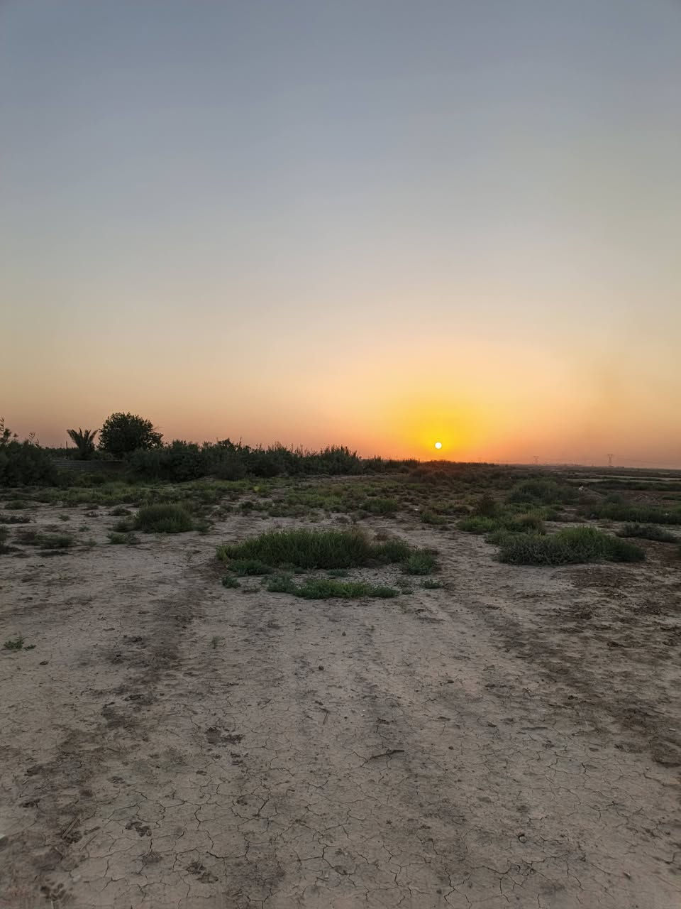 ارض زراعية عقد 117 . المساحة 35 دونم
تصلح سكن وزراعة
ماء كهرباء واصل كلشي تبليط وجه شارع ومدرسة قريبة ومحلات 
واجهة الارض ٨٠ متر 
المكان بغداد طريق الكوت مقابيل سيطرة اللج الاولى من جهة بغداد تبعد عن الشارع العام دقيقتين

***********
