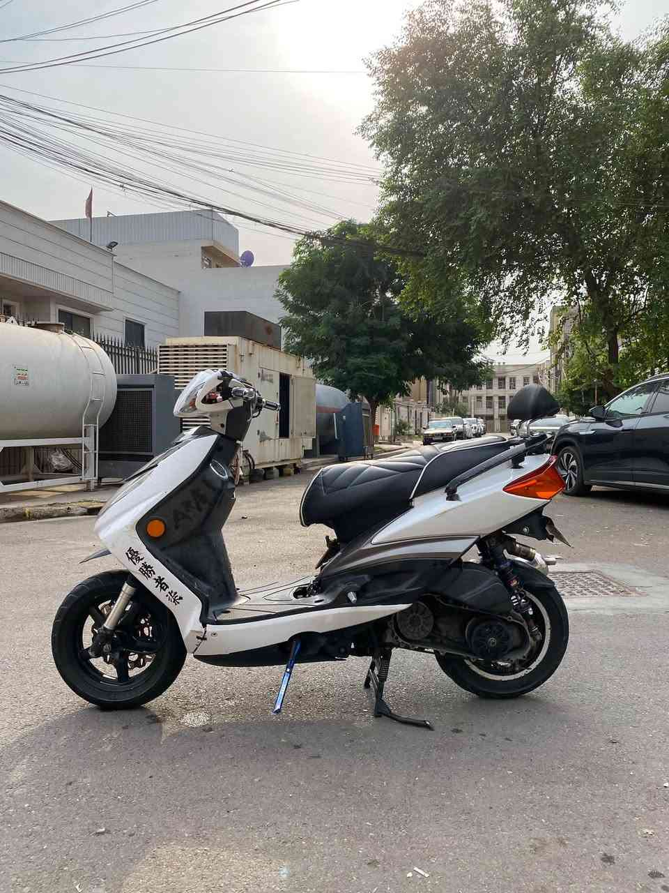 فحل نوزل • ٥٩ • جويتر 32