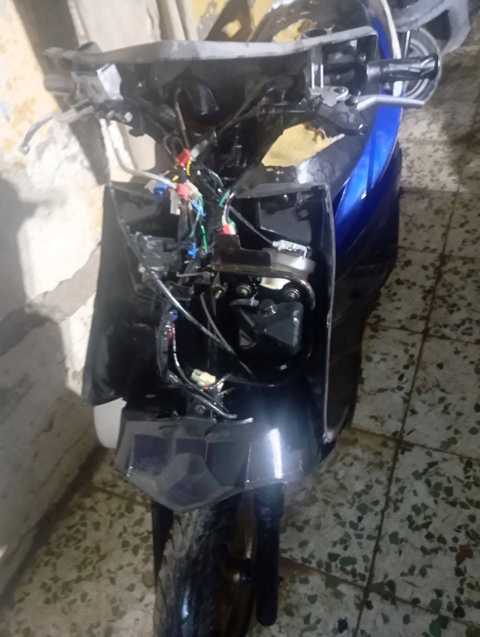 سلام عليكم سكنس فحل البيع بكاني بغداد لامين الثانيه الستفصار ***********
