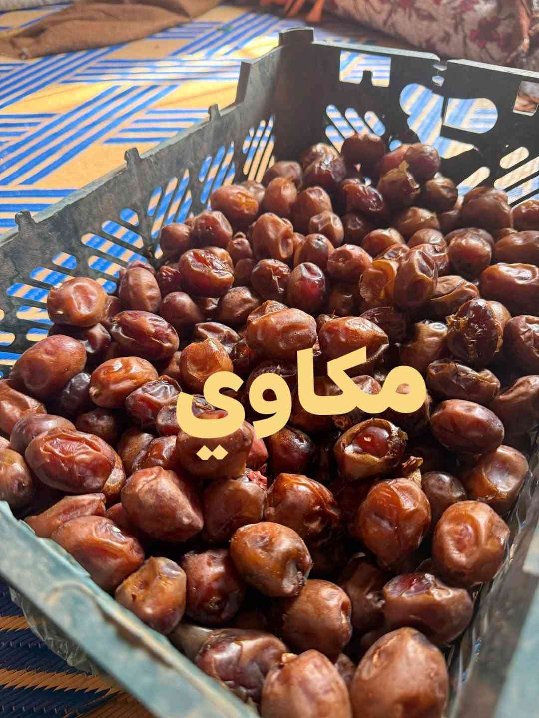 تمر • مكاوي • الوجيهيه