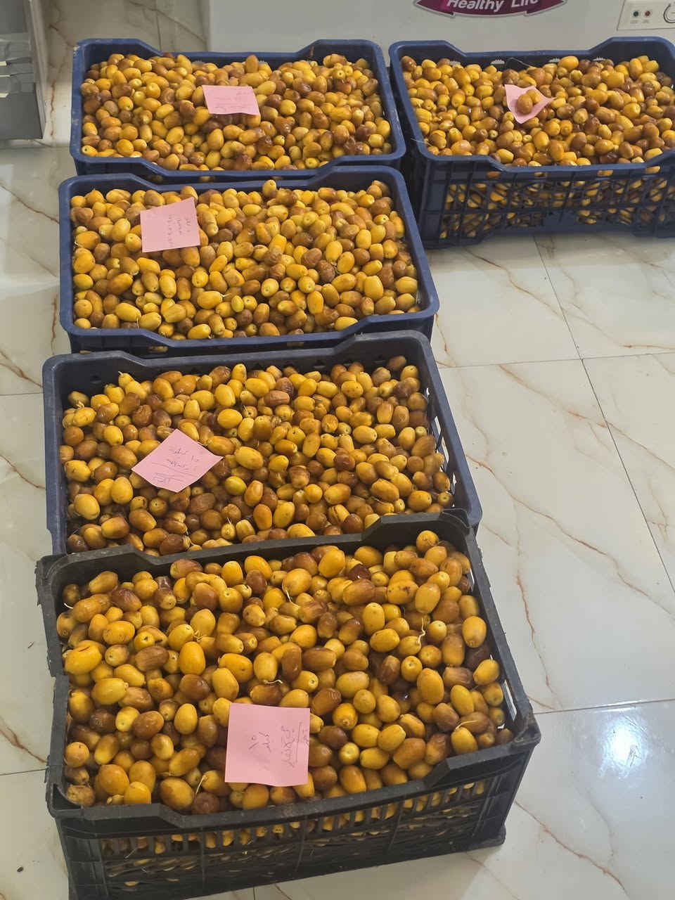 تم البيع ولله الحمد طبعا احنه نكص نفس اليوم نبيعه وبخدمتكم الي يريد راسل واتساب على الرقم ***********  الموقع /ناحية العباسية /خلف مركز الشرطة /عمود ٢٨ وايضا يتوفر دهن حر اصلي شرد الفحص
