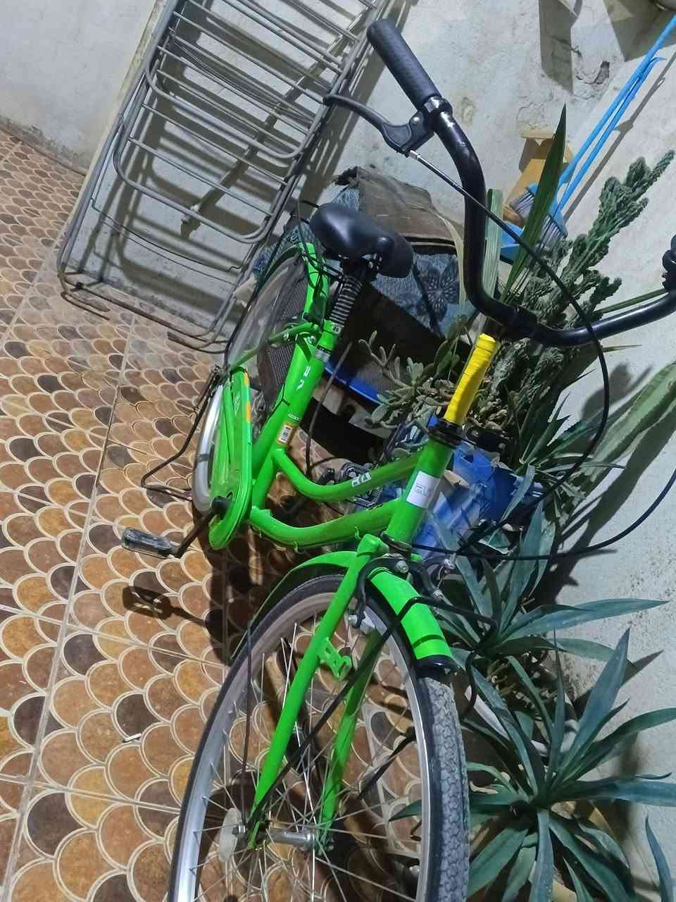 باسكل • جديد • بابل