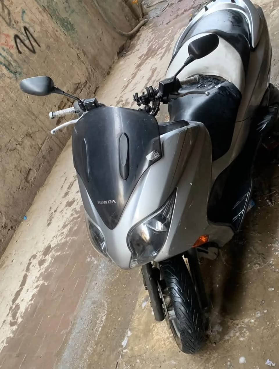 فوزه • صفر • مكفول