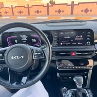 سلتوز فول • ٢٠٢٤ • وارد كندي