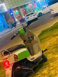 بوليس • ٢٠٠٨ • خضر