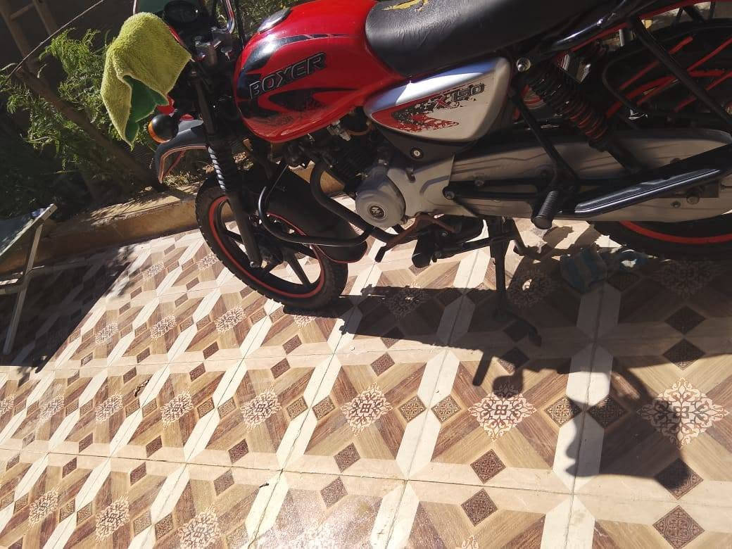 بوكسر 22رقم وسنويه باسمي مكفول ***********
