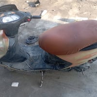 فراشة • سلف • بريكات