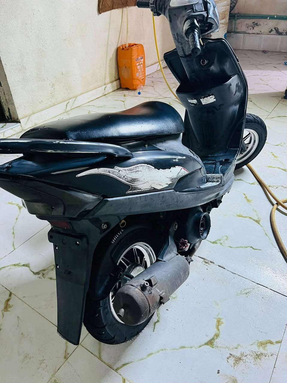 ماكس عدلة • مامفتوحه • بلاديات مكفولة