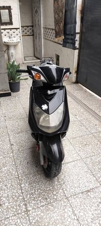 سكنس فحل • نوزل • مكفوله