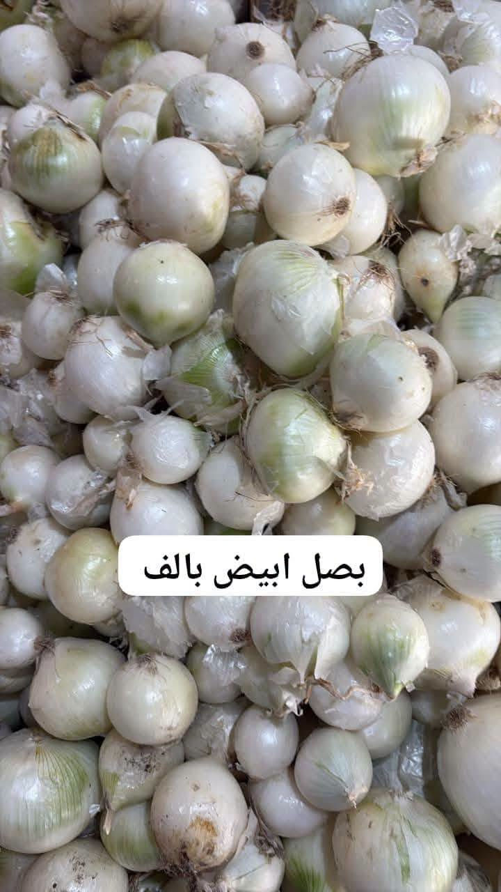 فواكه وخضروات • توصيل يومي • خانقين امام عباس