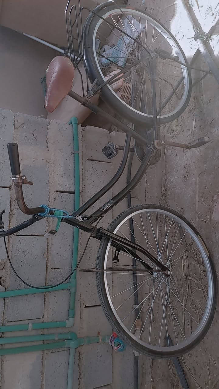 سلام عليكم بايسكل للبيع مكان الشطره السعر خاص ***********
