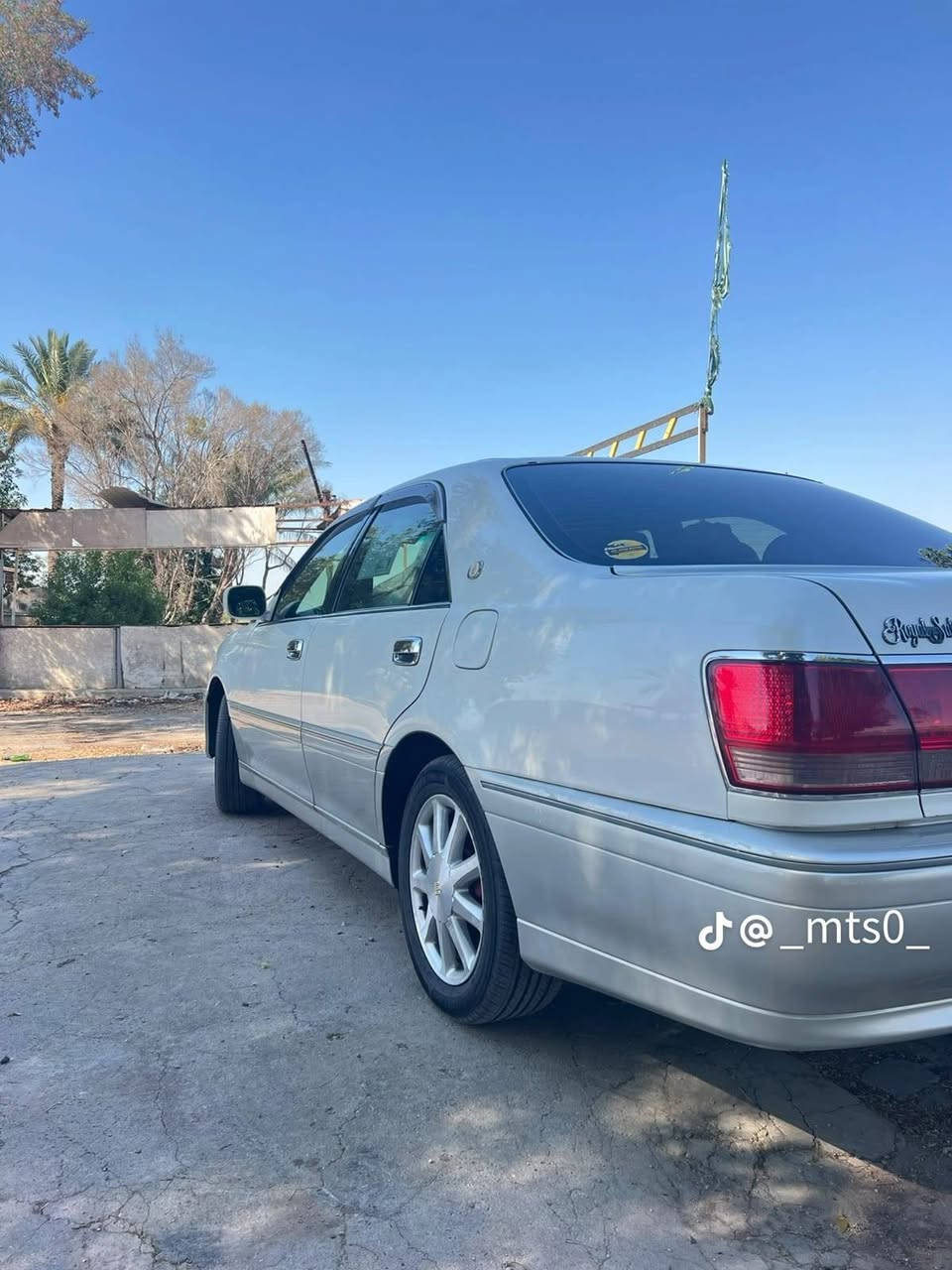 ملكة • فول • بابل
