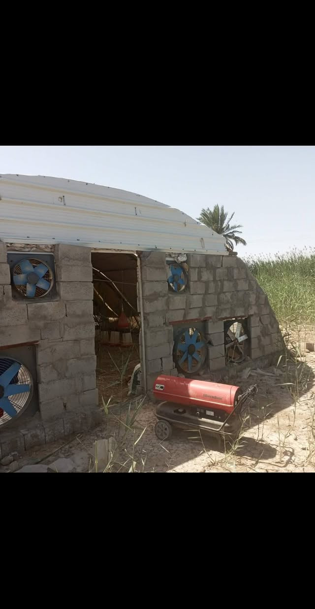 السلام عليكم 
عندي قاعه دجاج للبيع كامله مع ملحقاتها 
قاعه غراضها نضيفه كلش 
مستخدمات 25يوم فقط 
المكان واسط سيطره اللج 
شغله مرتبه ونضيفه للشراي 
هاتف***********
