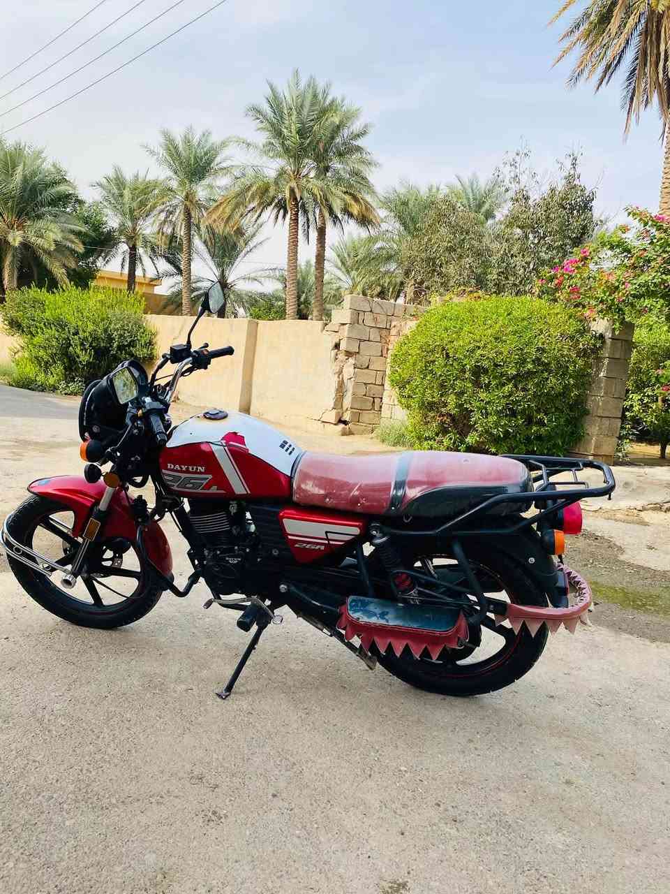 دايون • ٢٠٢٣ • مكفول