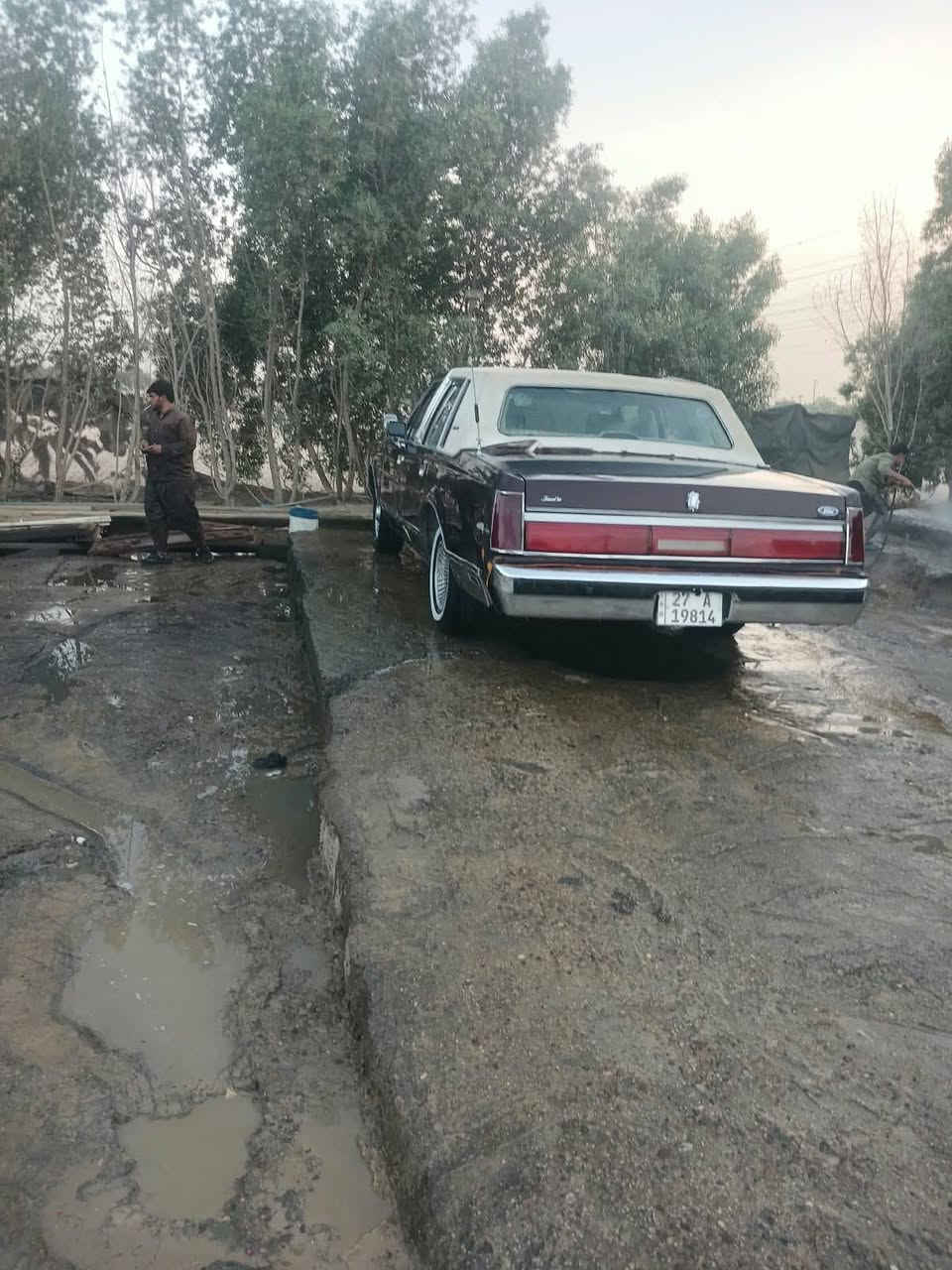 انكولن • موديل ٨٧ • راس الثور