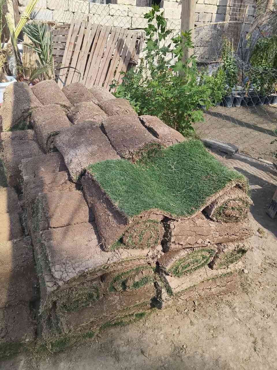 سلام عليكم ورحمة الله وبركاتة
يوجد لدينا ثيل هندي درجة أولى متر مربع  5لف ولقطعة 2500

طول متر عرض 50 الحجز والستفسار 

أبوبلال\ ***********📞
