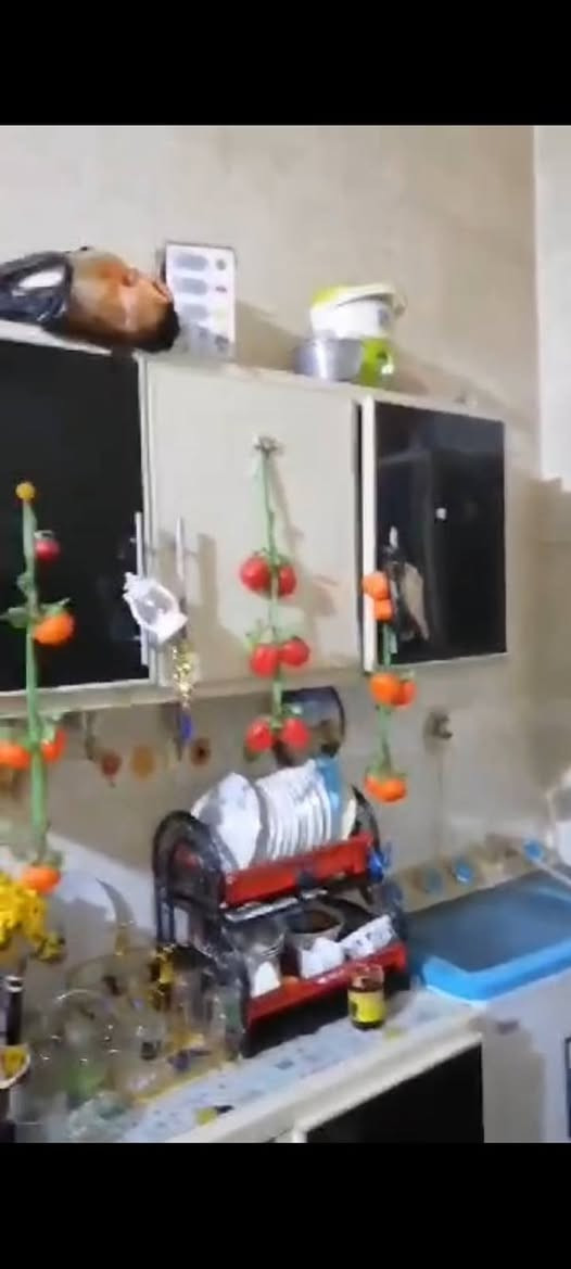 كاونتر نضيف الله شاهد ومابي شي بس شويه صايره هوسه لنو عدنه شيله سعر250 وبي مجال كربلاء حي العباس المحمديه ***********
