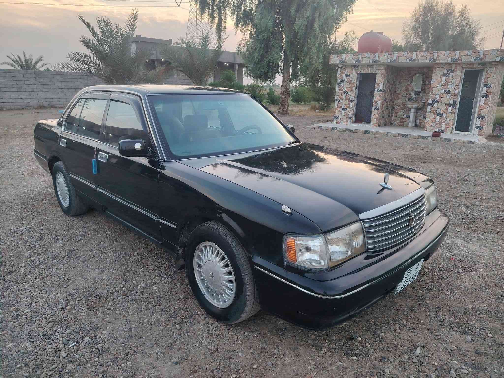 أرنب • ١٩٩٢ • بدون حادث