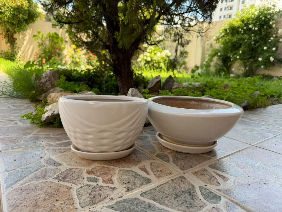 سنادين للبيع بسعر مناسب 🌿
سنادين فخارية مثل الجديد و نوعية ممتازة تركية المنشأ

للسعر والاستفسار على واتساب ***********
