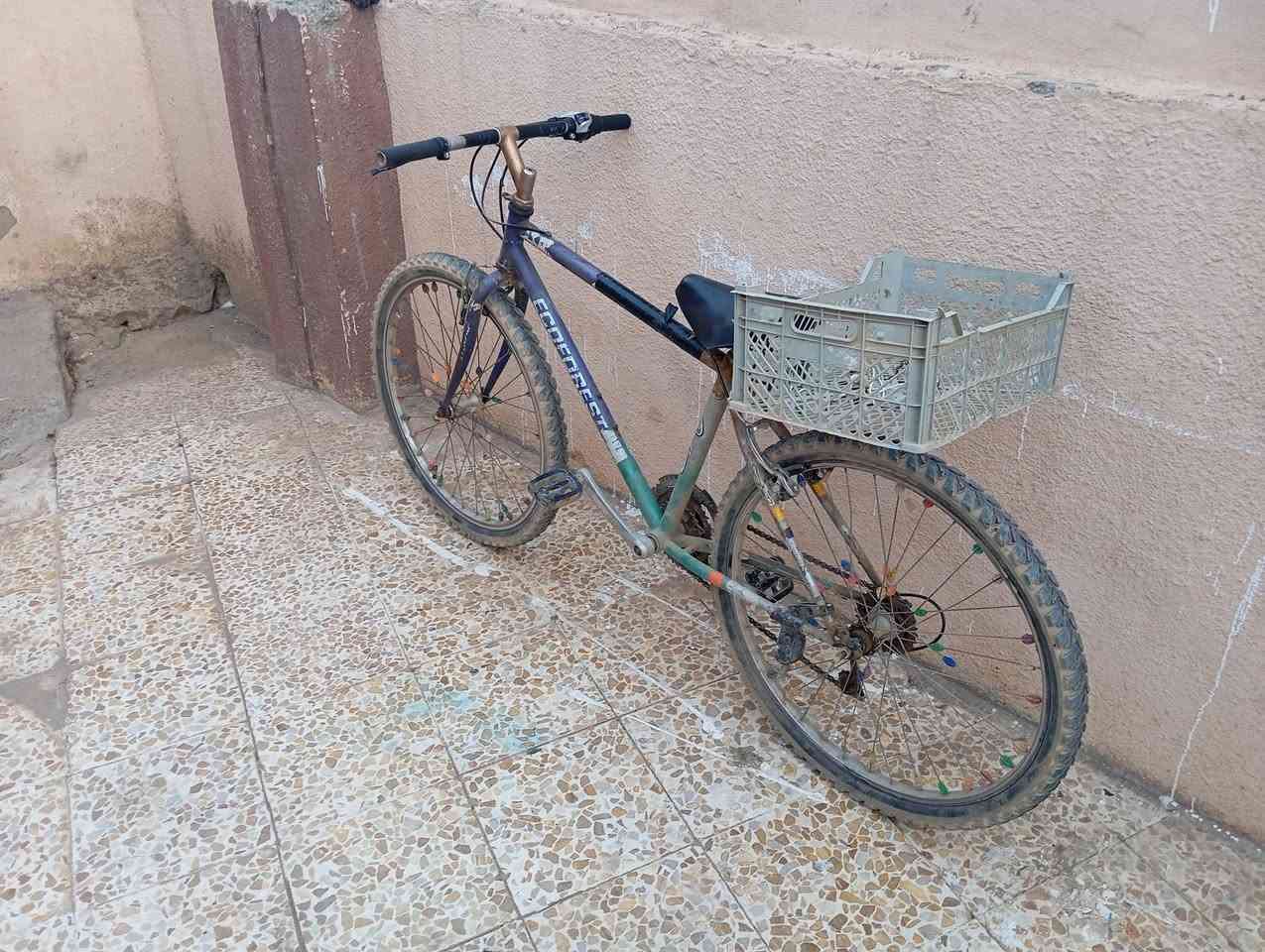 سلام عليكم بايسكل للبيع حجم 26 استوبات شغل كير شغل بي ضربه خفيفه في  الويل شراي اتصال   على رقم ***********
