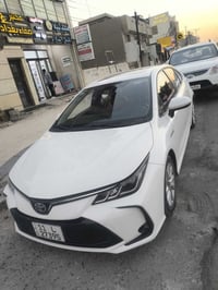 هايبرد • ٢٠٢٣ • كفاله عامه