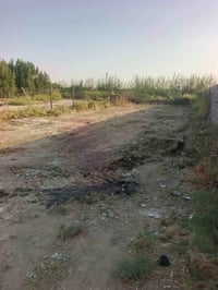 جسر الفرنسي • شارع المدرسة • ٣٠٠م