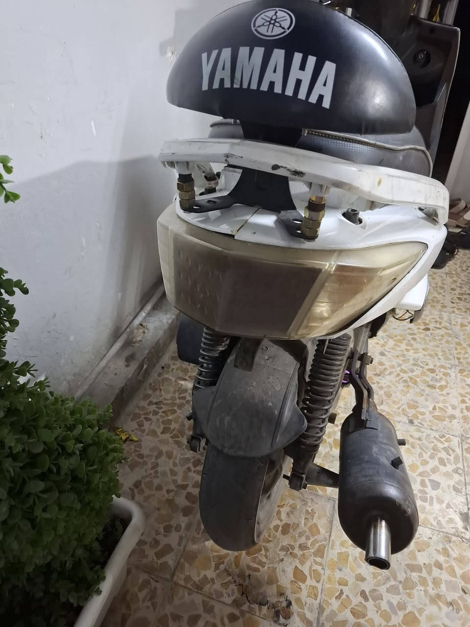 سكنس فحل نوزل خطين
دراجه حلوه شلعه ومعدل كهربائيات شغاله
بيه تزويد كلجات قويات كلش صالنصه صوته حلو
مكينه كفاله لا نضوح ولا تبخير
سعره 550 بيه مجال بسيط مكان بغداد الطالبيه قرب فلكه 83 تواصل ***********
