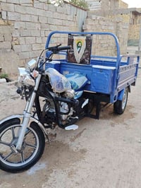 ستوته • ٢٠٢٣ • مكفولة