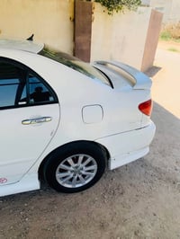 كورلا نحلة • ٢٠٠٤ • قضاء العلم