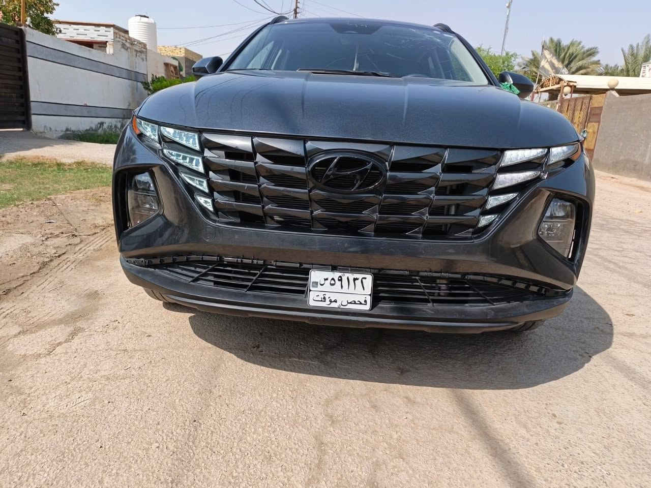 توسان ٢٠٢٤ • وارد أمريكي • مرقمه بابل