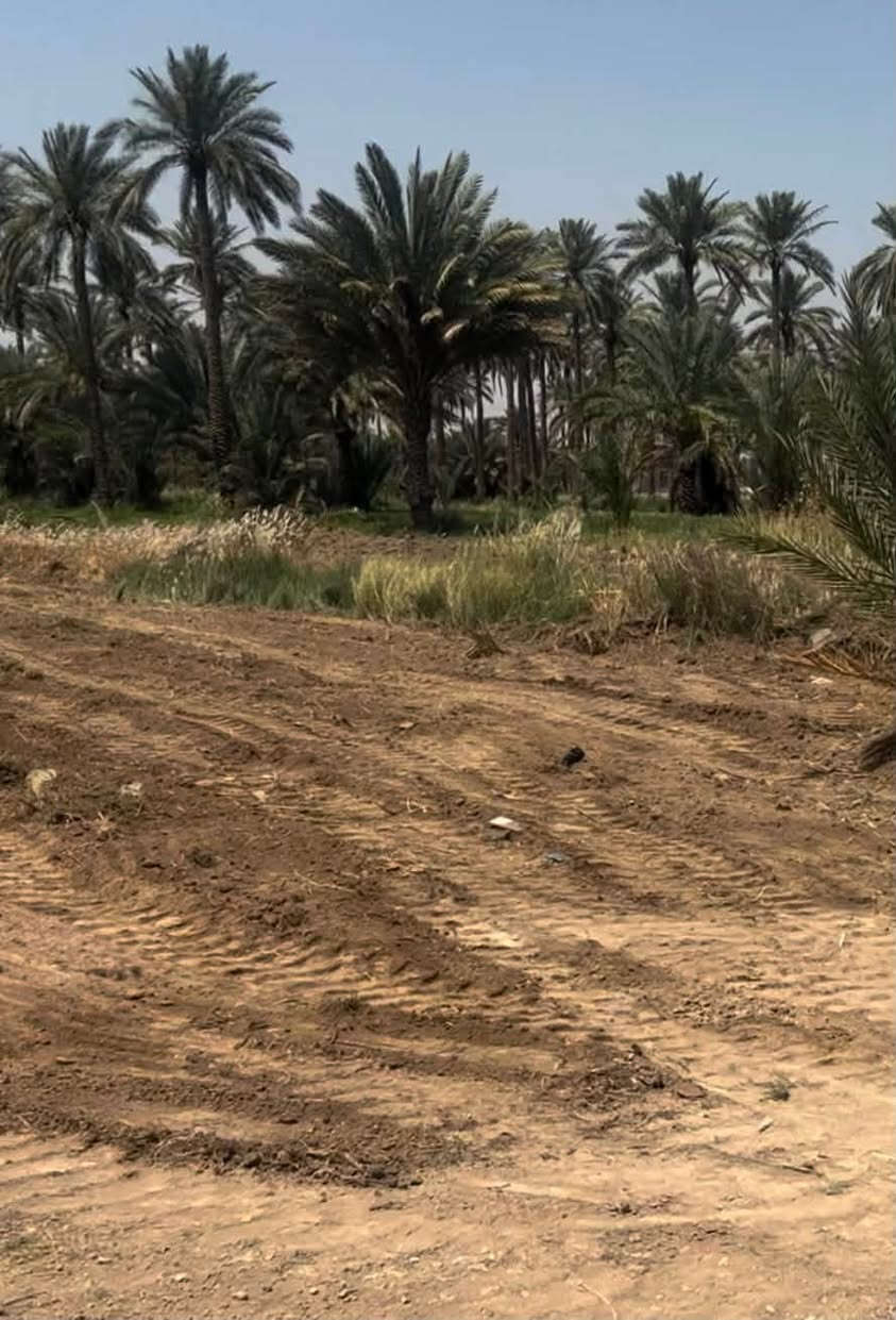 السلام عليكم ورحمة الله وبركاته
دونمين للبيع ينباع منها دونم او نص دونم او كل الدونمين
ارض زراعية طابو 25  كهرباء طواريء كافة الخدمات ماء كهرباء مجاري تحويل باسم المشتري مباشر الأرض ملاصقة للحي على طول الحي يعني كلها واجهية واجهية الدونم الواحد 100 متر 
العنوان كربلاء قضاء الخيرات 
سعر الدونم الواحد 85 وبي مجال
الاستفسار اكثر ***********
