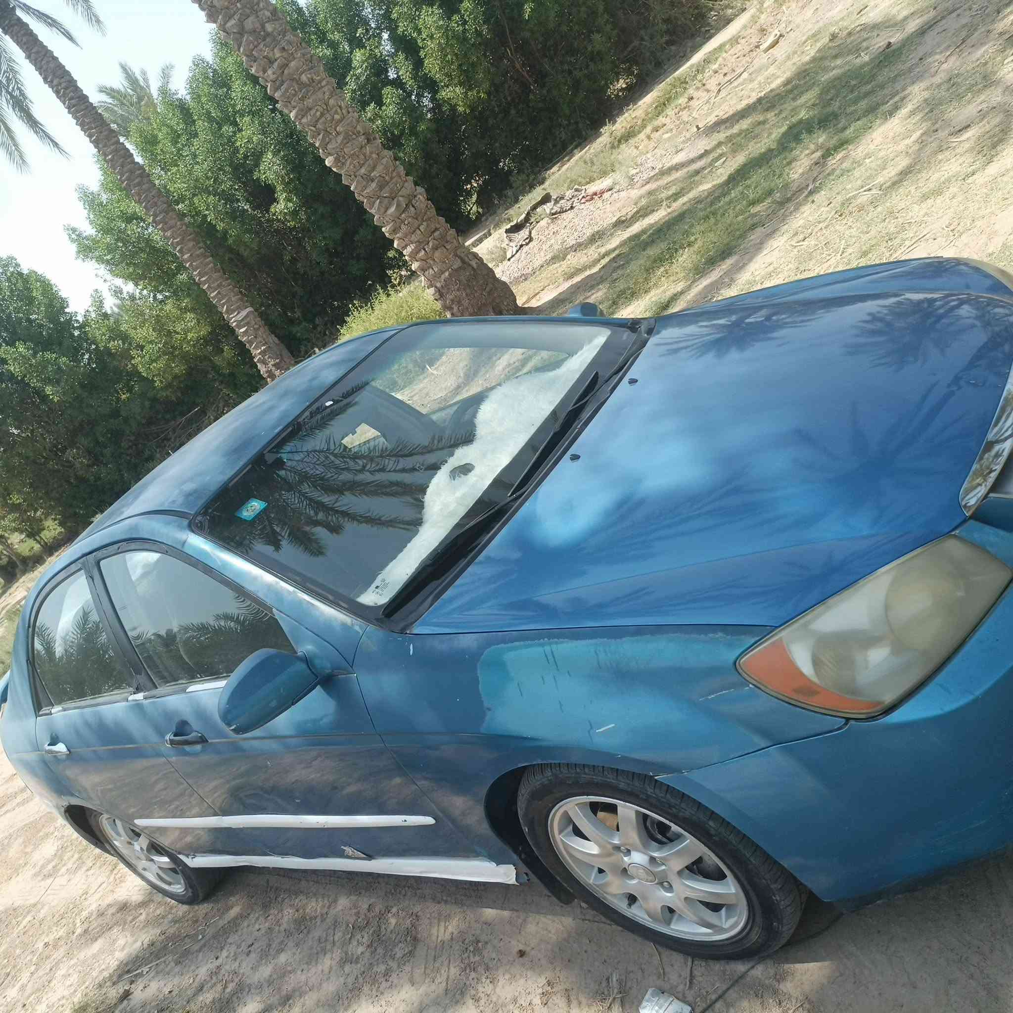 من رخصة الادمن . سبيكترا  2006
وارد امريكا 

سياره كلين محرك 2000

تخم تاير 

باتري جديد 

تبريد ثلج 

سنويه لل 2029 

هزه بشهر الخامس يعني بعد 9 اشهر كدامك 

رقم بغداد دولي مشروع وطني

باسمي وتحويل شرط ثاني يوم 

محرك وكير خير من الله .. محرك دووش المرغوب 

السياره صافيه وذهبه 

فقط صدرها بيه نواقص

السياره مابيها نواقص قويه فقط جراد و طخات بسيطه جداً 

مكاني بابل ناحية النيل 

السعر 65 وبيها مجال بسيط 

للاستفسار أكثر الاتصال على الرقم 👇👇

***********
