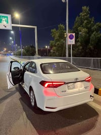 كورلا • ٢٠٢٥ • مرقمة بغداد