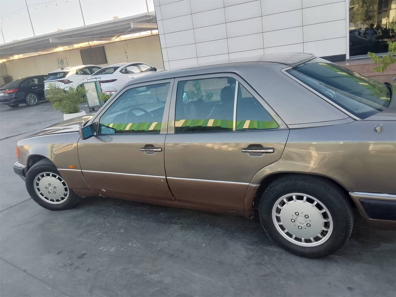السلام عليكم مارسدس دب موديل 91 أصل
بلاد السياره على وضع الشركه كير مكينه كفاله تبريد جاهزه 

باسمي رقم دولي هزه جديده ترايك وين يعجبك تروح 

صدر أمامي خلفي جديد  بدون قطره خياس قواعد دبل كفاله 

منظومه بانزين كلها جديده فيت بم جديد الأصلي 

داخل جلد كشنات كهرباء 

مكاني بغداد السعر 58 قفل 

‏‪***********‬‏
