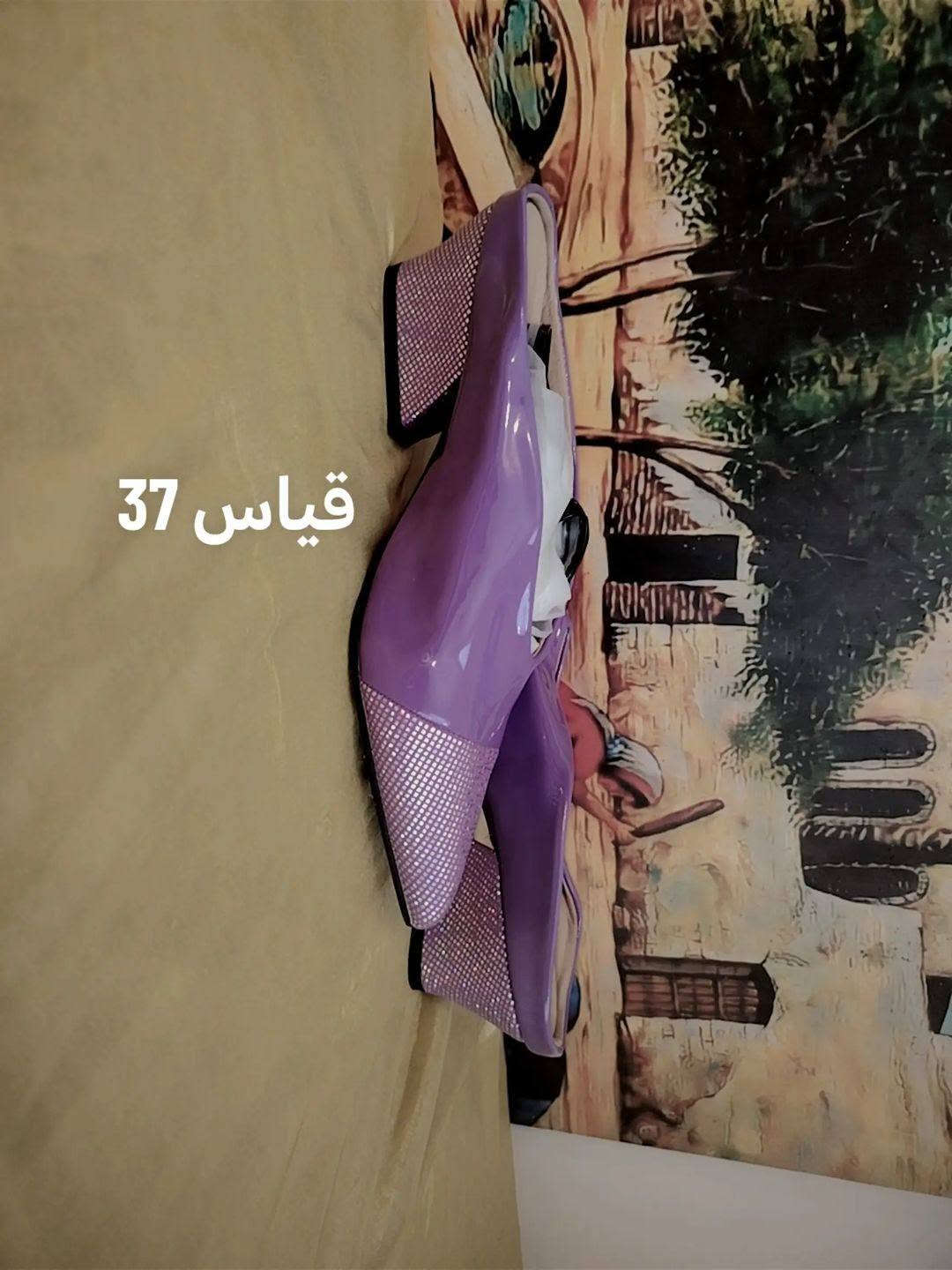 شي إن • كسر كارتون • مقاسات 35-41