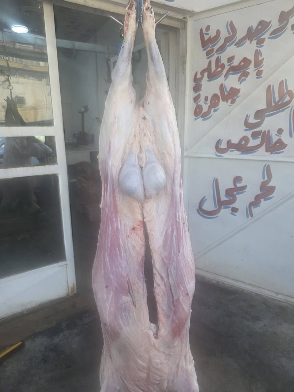 قصابة الشمري • لحم طلي • سوق الحقلانيه