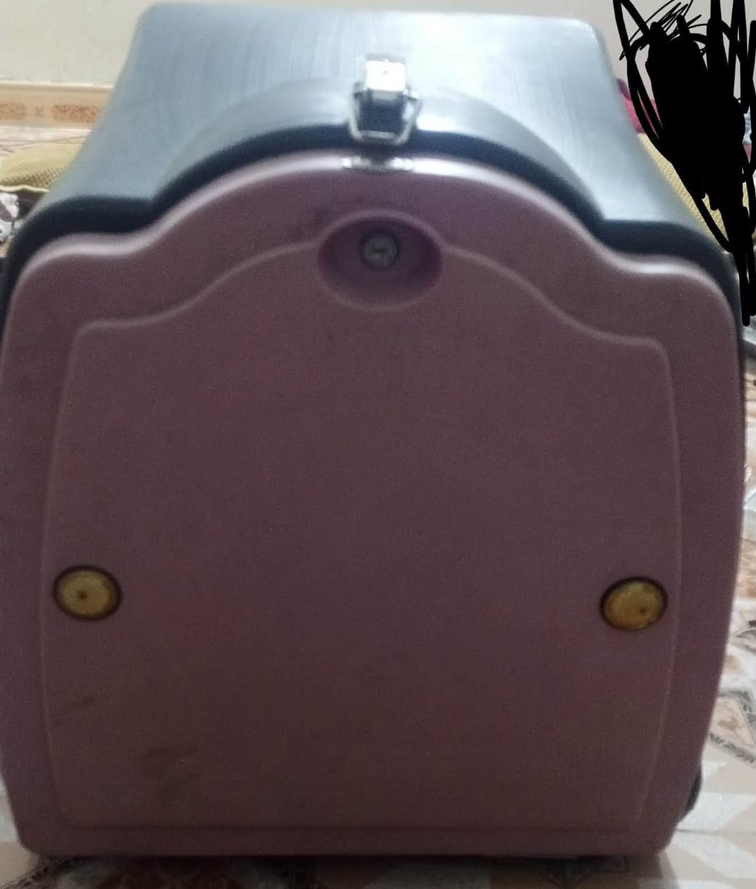 سلام عليكم يوجد صندوق للبيع بعد جديد سعر جديد 60 بس هو مستخدم شي قليل سعره25￼ هو مجال كسر واحد ما فيه بعده جديد عنوان رمادي خمسة كيلو رقم الهاتف***********
