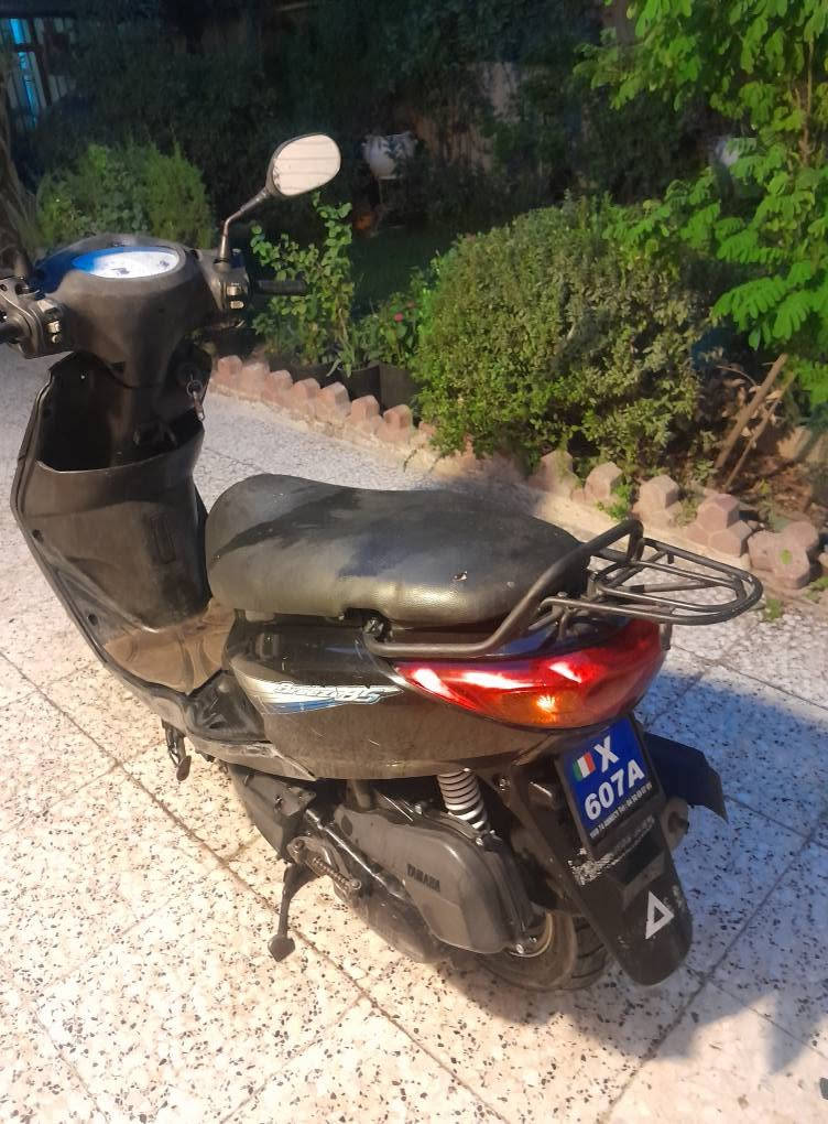 بغبغاء • ياباني • ٢١ الف
