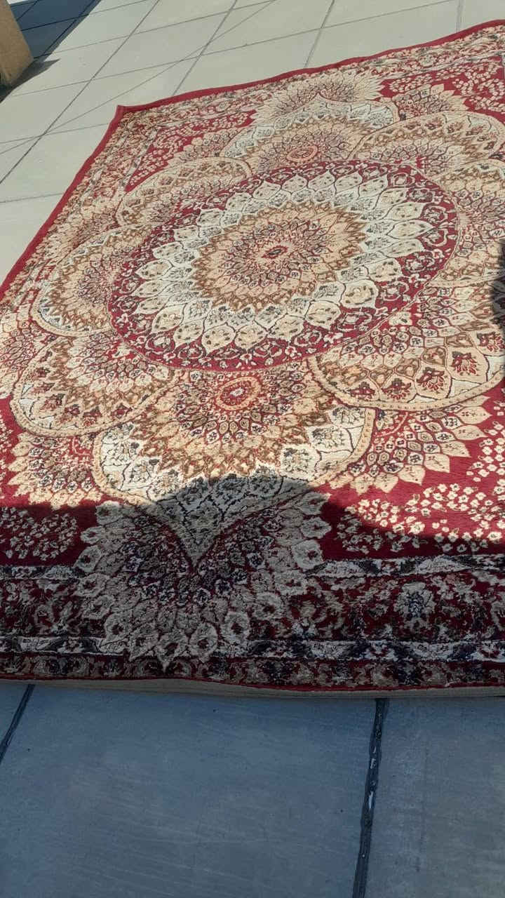 زوليه • ٢×٣ • بغداد شارع فلسطين