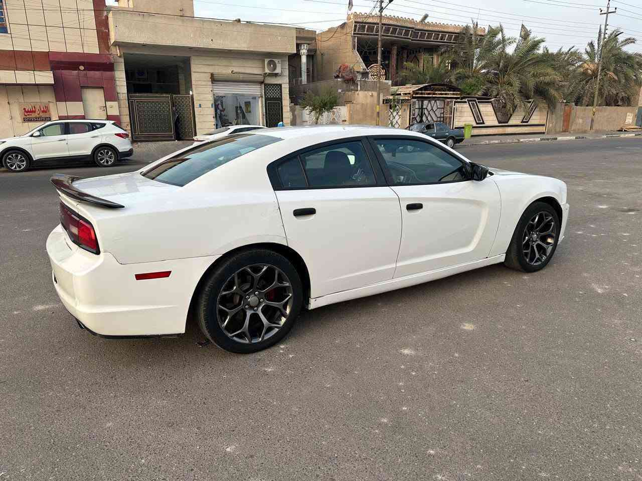 جارجره • ٢٠١٤ • البصره