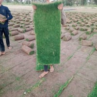 ثيل • ٢٢قطعة • حي الصديق