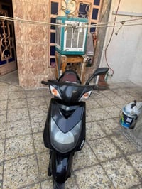 سكنس فحل • دخان • يقطع