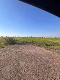 التاجي العيساوية • ١٨ دنم • ماء وكهرباء