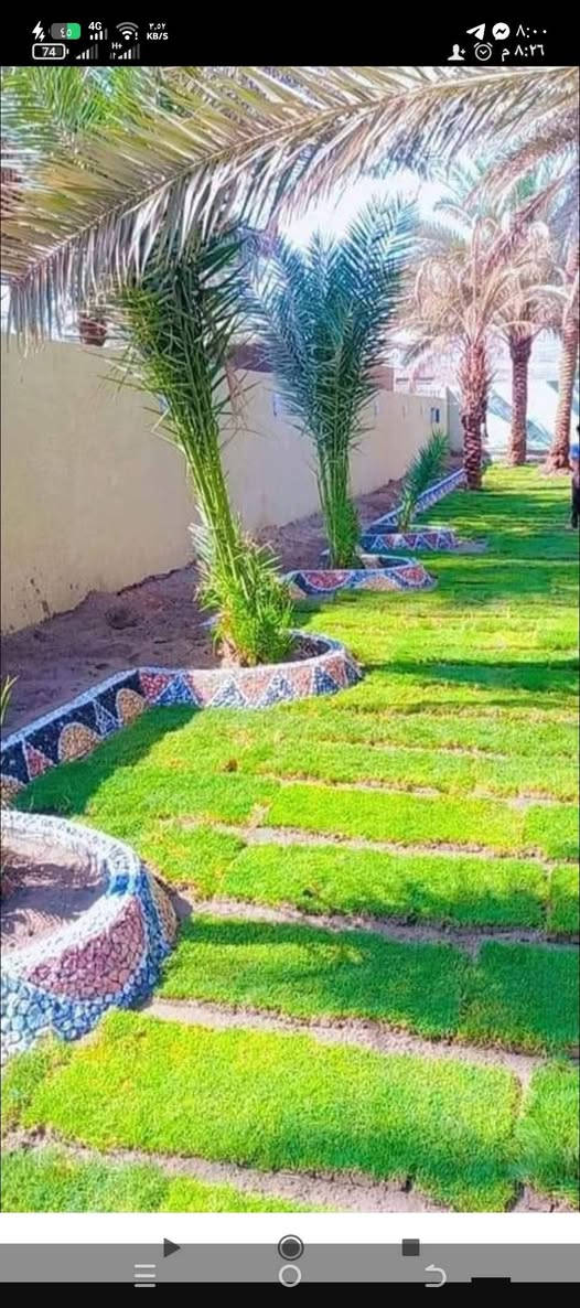 ابو حسين ***********
🍃مستـعدون🍂 ، لـترتيب🐦 الحدائق المنزلية 🏝️🏘️
وزراعة النباتات، 🌾🌴🌱والازهار، 🌼🌺🌻وقص الثيل.🌾🌾
وعمل الديكورات والتصاميم،الحديثة للحدائق،، بواسطة الاحجار الملونة 
ونعمل على تصميم الشلالات 💦والنافورات
