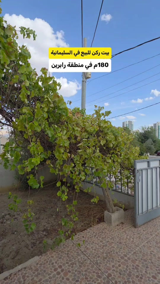 بيت ركن للبيع في السليمانية منطقة رابرين مساحة 180 متر

نص مكتوب في الصور:
- بيت ركن للبيع في السليمانية 180م في منطقة رابرين