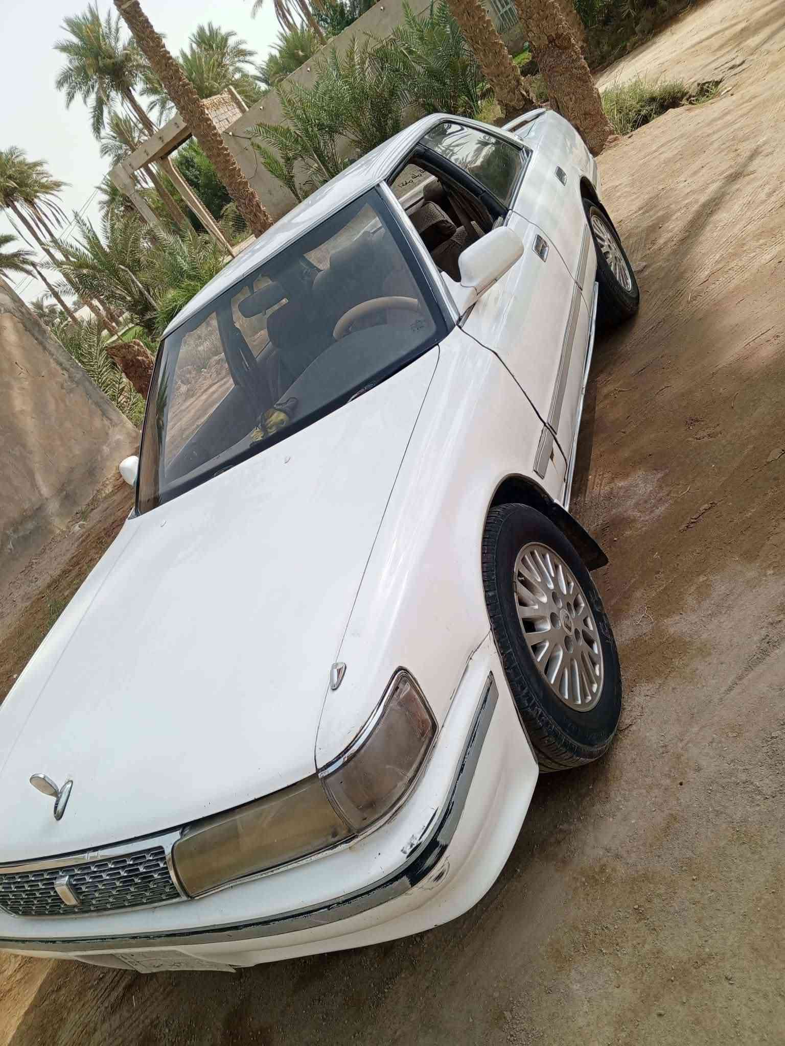 شيزر • ١٩٩٣ • الديوانية