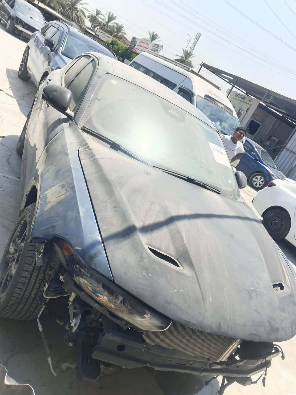 دوج هورنت هايبرد موديل 2024 سياره بيه بنيد وجاملغ صبغ كامله لايتات ودعاميه كامله حاليا يم صباغ السعر 125 وبيه مجال ***********
